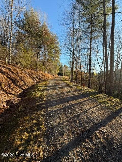 Mixed Use at 8,9 8,9 Downings Creek Road, Hayesville, NC 28904, Hayesville, photo 4 of 13