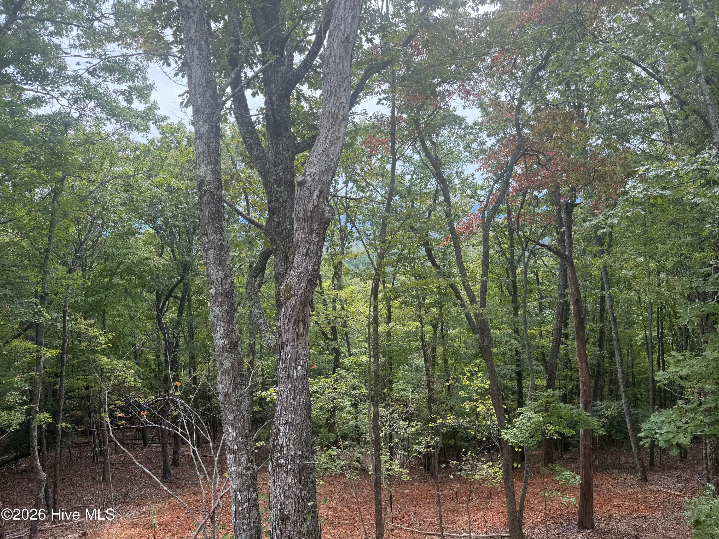 Single Family Residence at Lot 37 Quail Creek, Murphy, NC 28906, photo 73 of 73