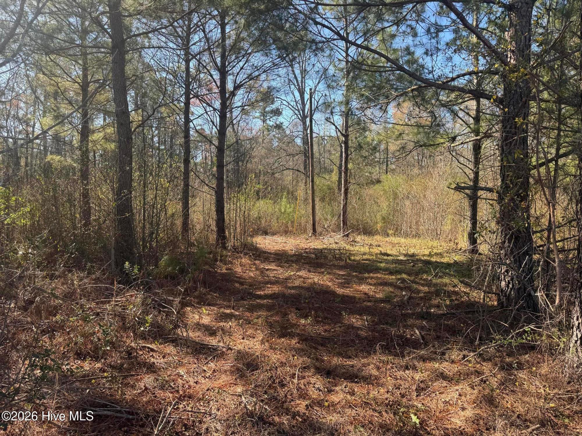 Mixed Use at 0 2 & 3 Little Prong Road NW, Ash, NC 28420, photo 2 of 7