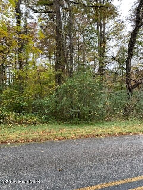 Tbd Swains Mill Road, Harrellsville, NC 27942