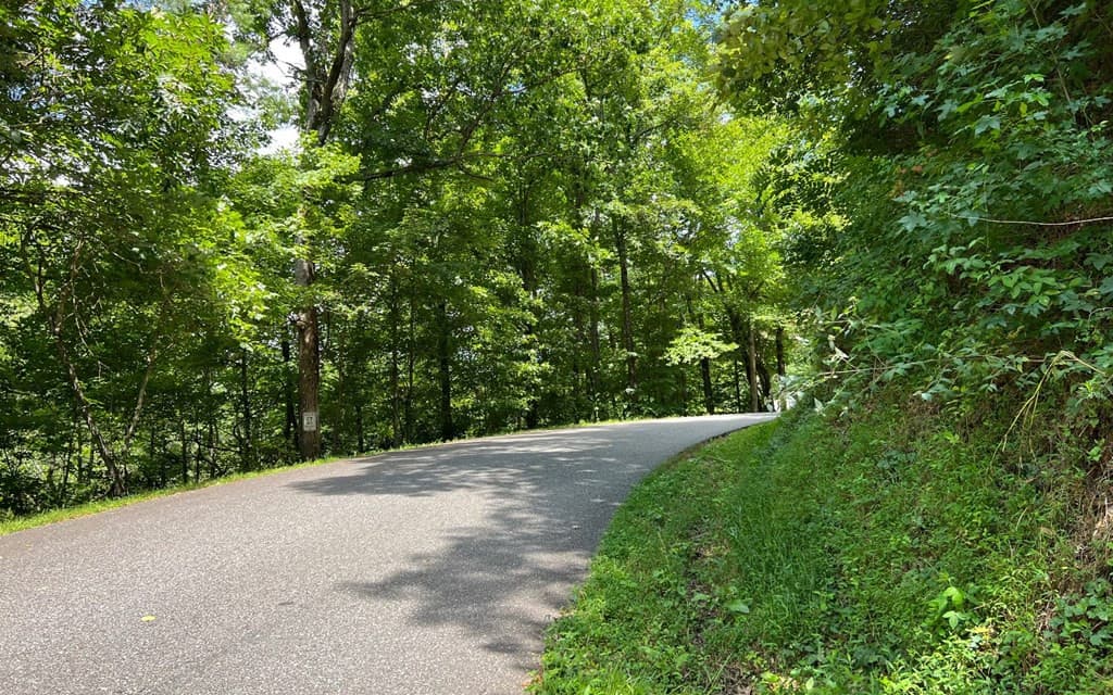 Land at Lot 77 77 Fires Creek Cove, Hayesville, NC 28904, Hayesville, photo 17 of 19