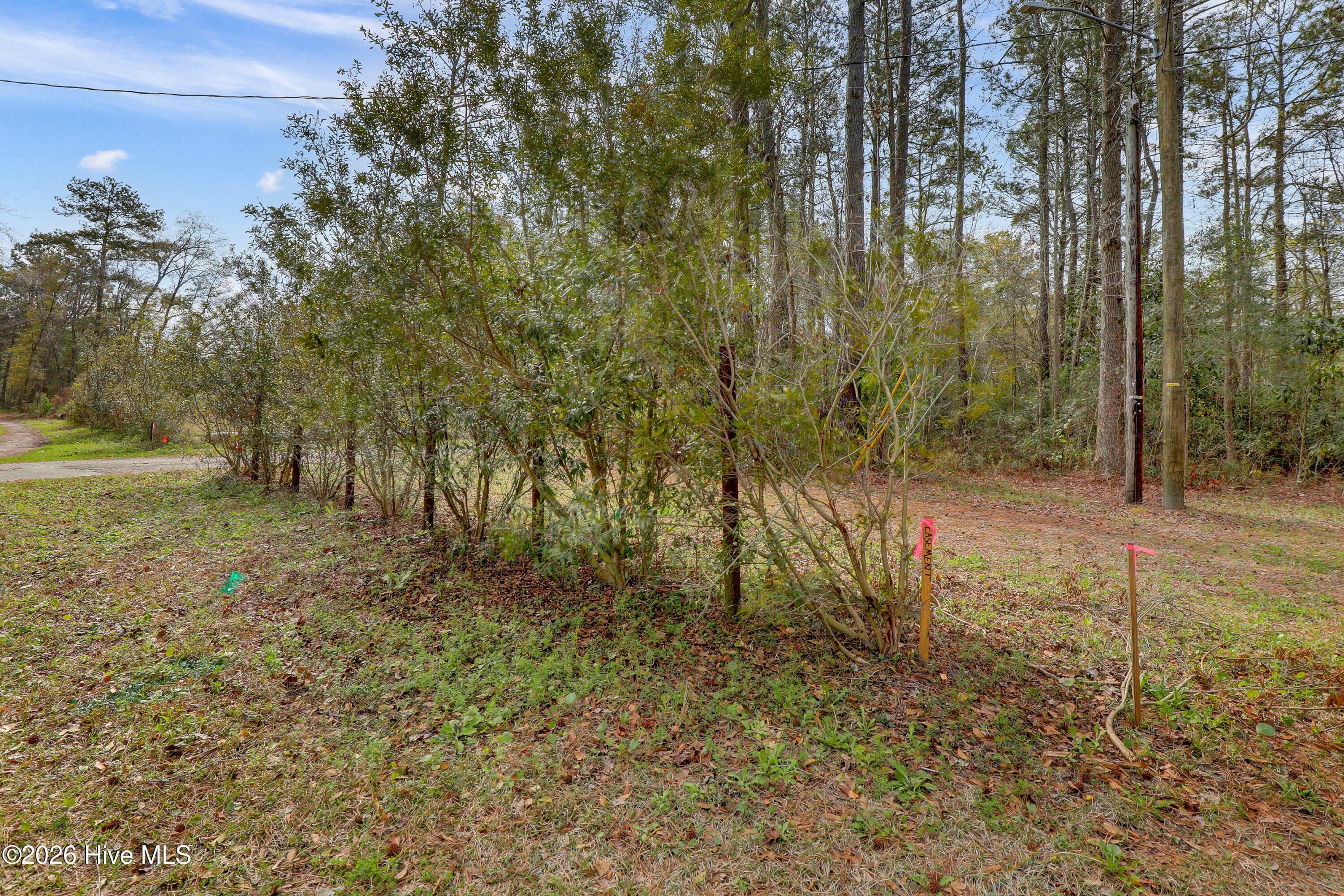 Residential Lot at 5535 Tract 2 Fulton Avenue, Castle Hayne, NC 28429, photo 5 of 16