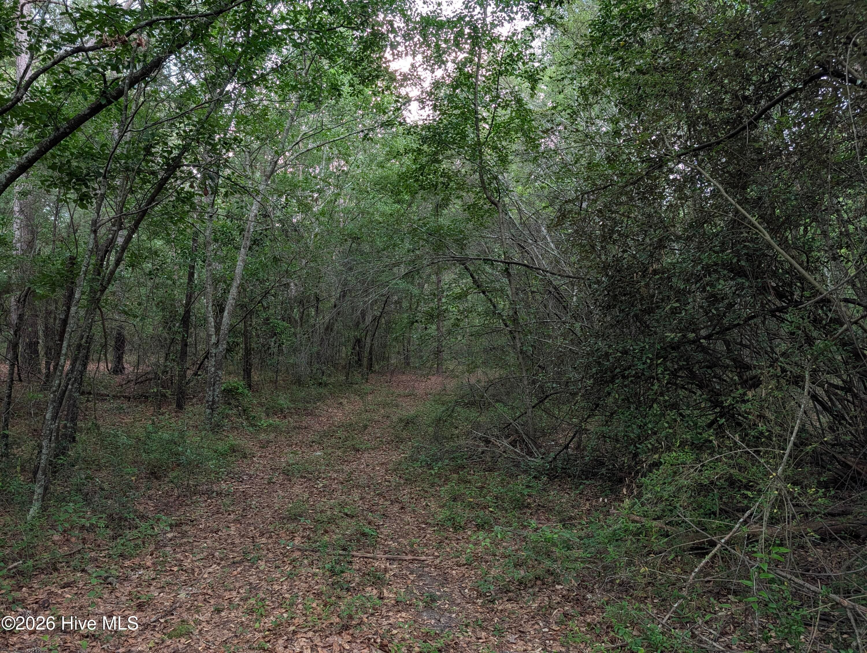 Residential Lot at 285 Garvin Drive, Wagener, SC 29164, photo 4 of 14