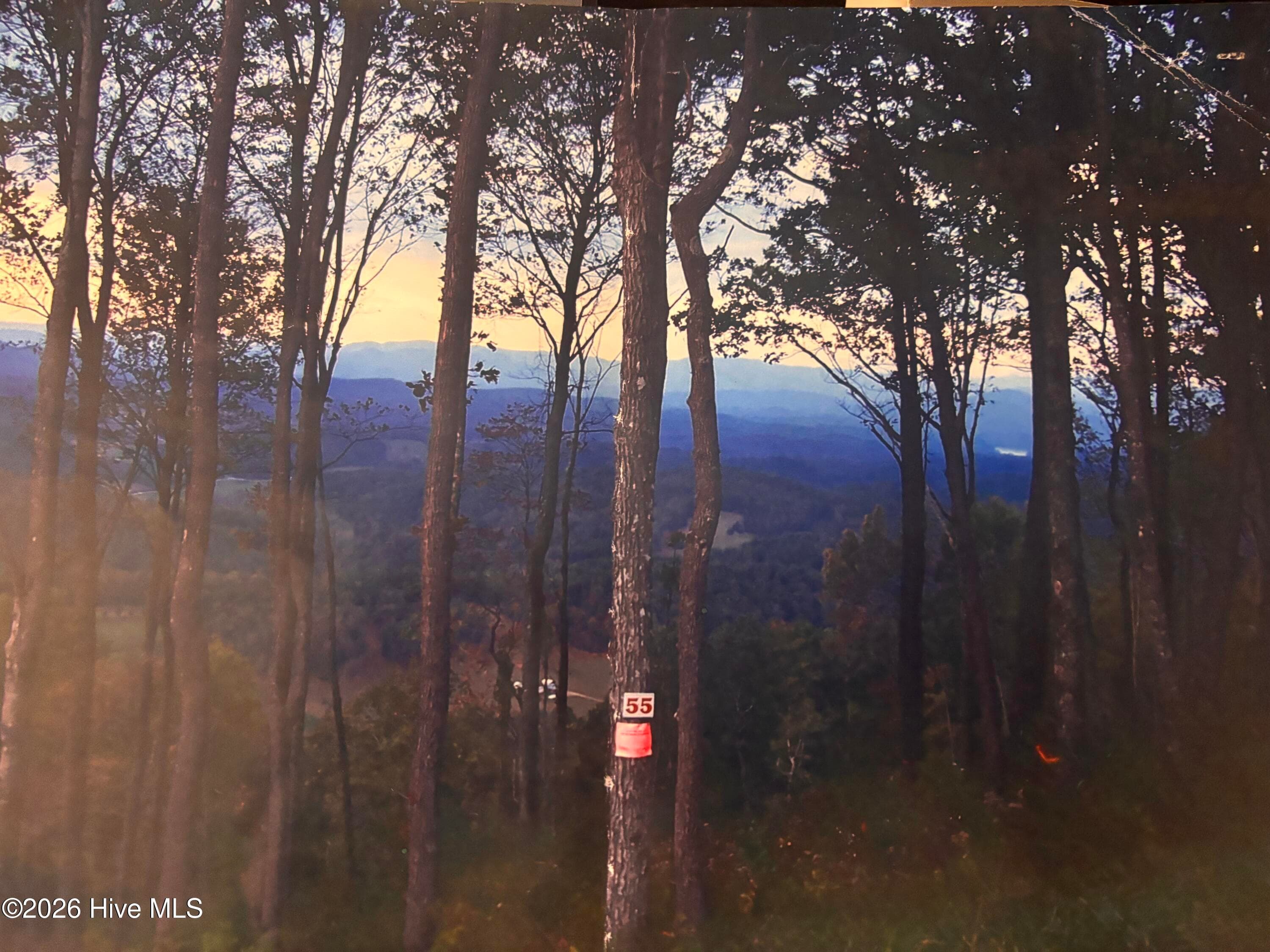 Undeveloped at 55 Buck Ridge Drive, Murphy, NC 28906, photo 2 of 15