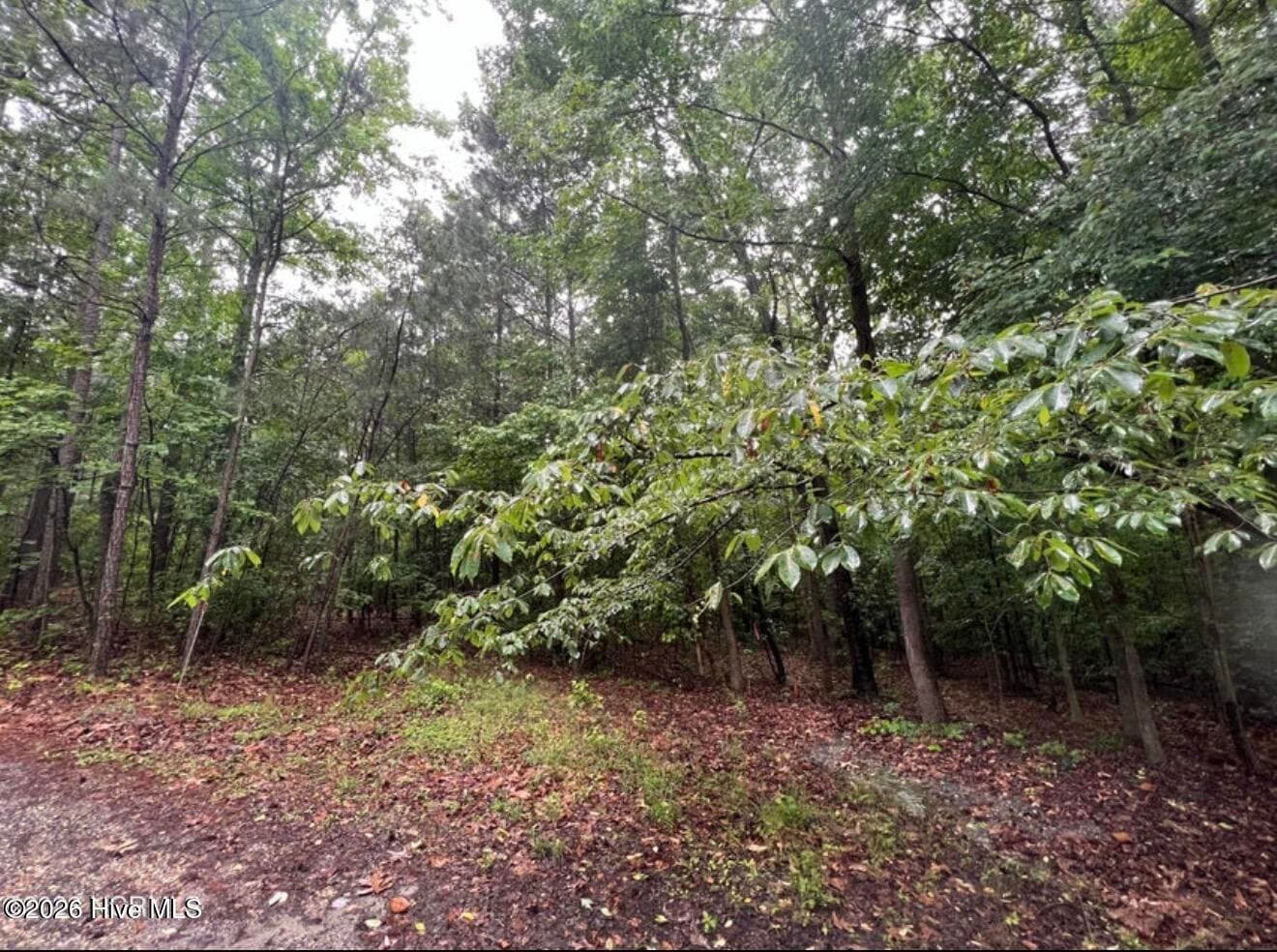 Undeveloped at Tbd Buggy Drive W, Carthage, NC 28327, photo 10 of 13