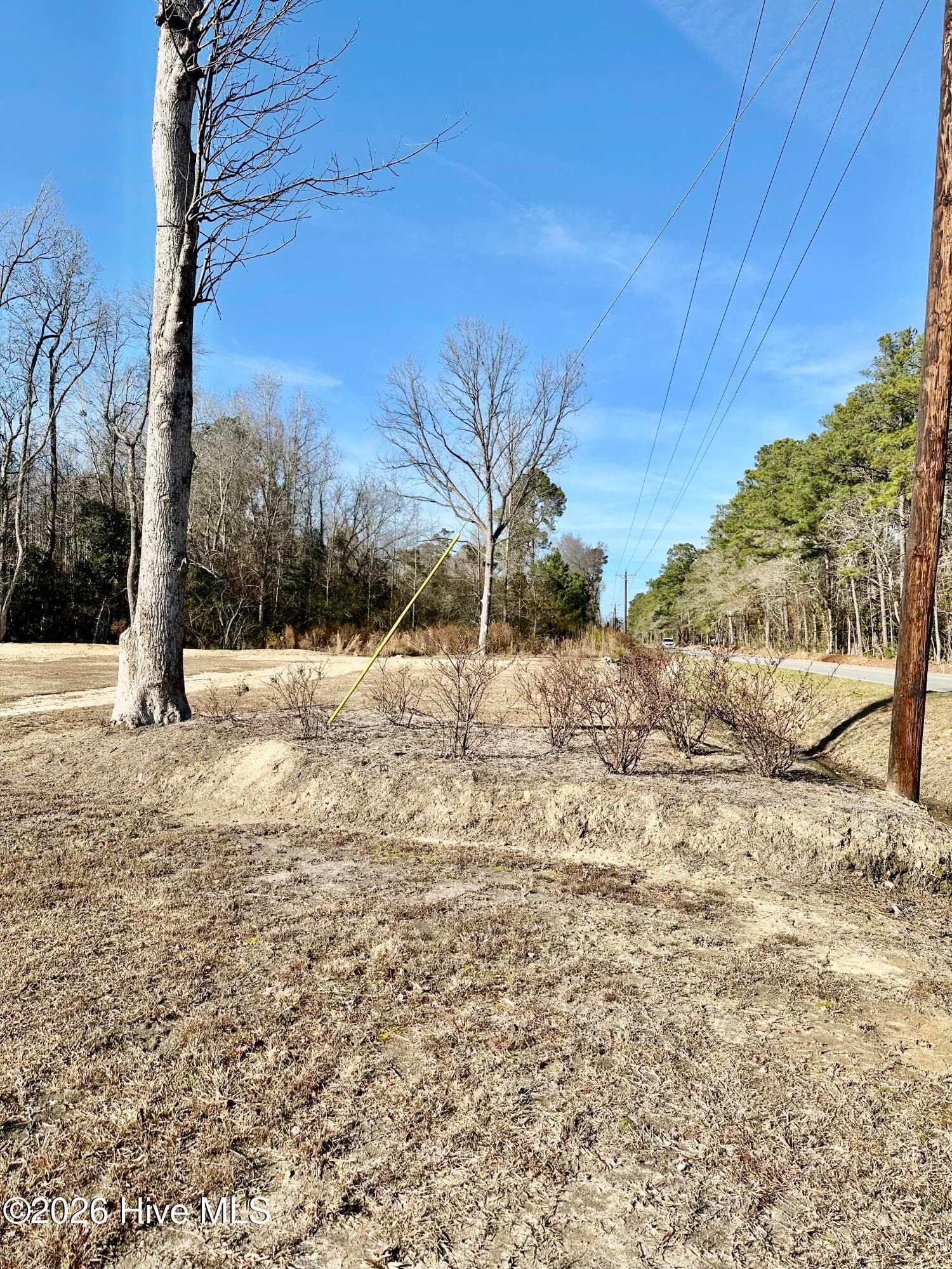 Residential Lot at 3678 New Britton Highway E, Whiteville, NC 28472, photo 6 of 8