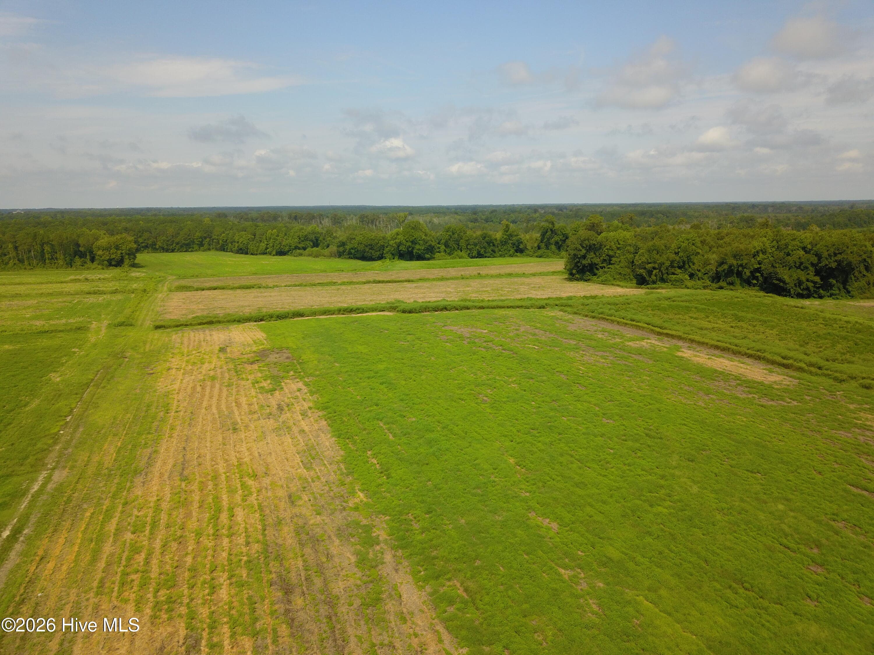 Farm at 2 S Nc 41 Highway, Wallace, NC 28466, photo 4 of 7
