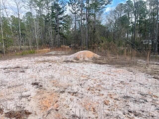 Residential Lot at Lot 32 32 Stapleton Acres Drive, Stapleton, GA 30823, photo 4 of 6
