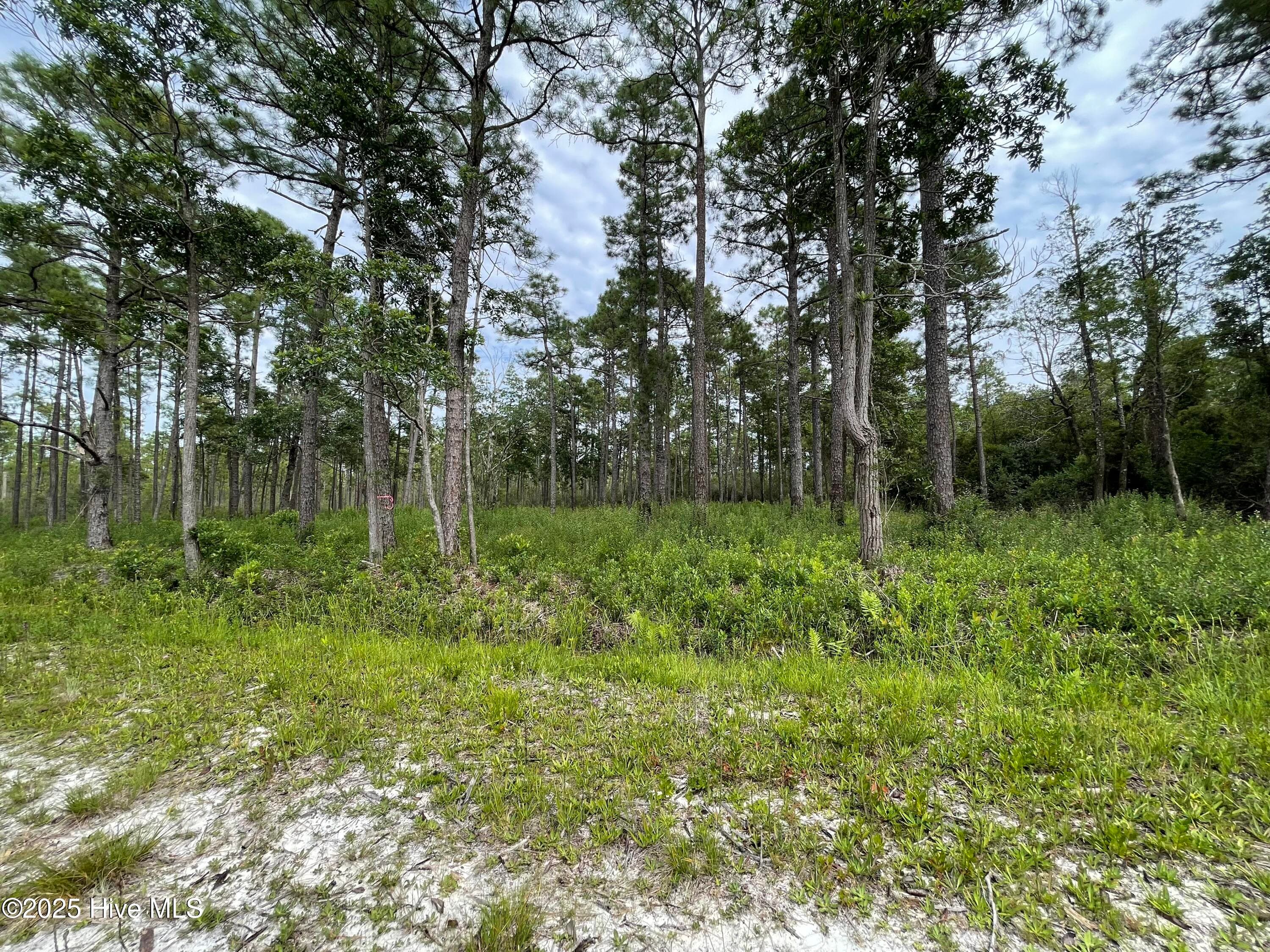 Residential Lot at 811 Brittany Road, Southport, NC 28461, photo 24 of 25