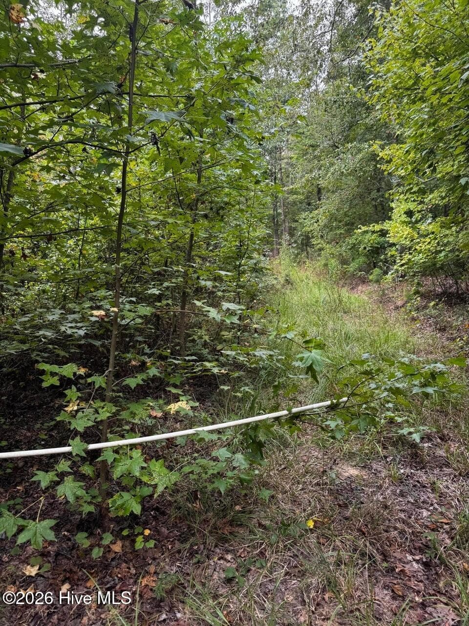 Undeveloped at 00 Gabe Rd, Saluda, SC 29138, photo 5 of 6