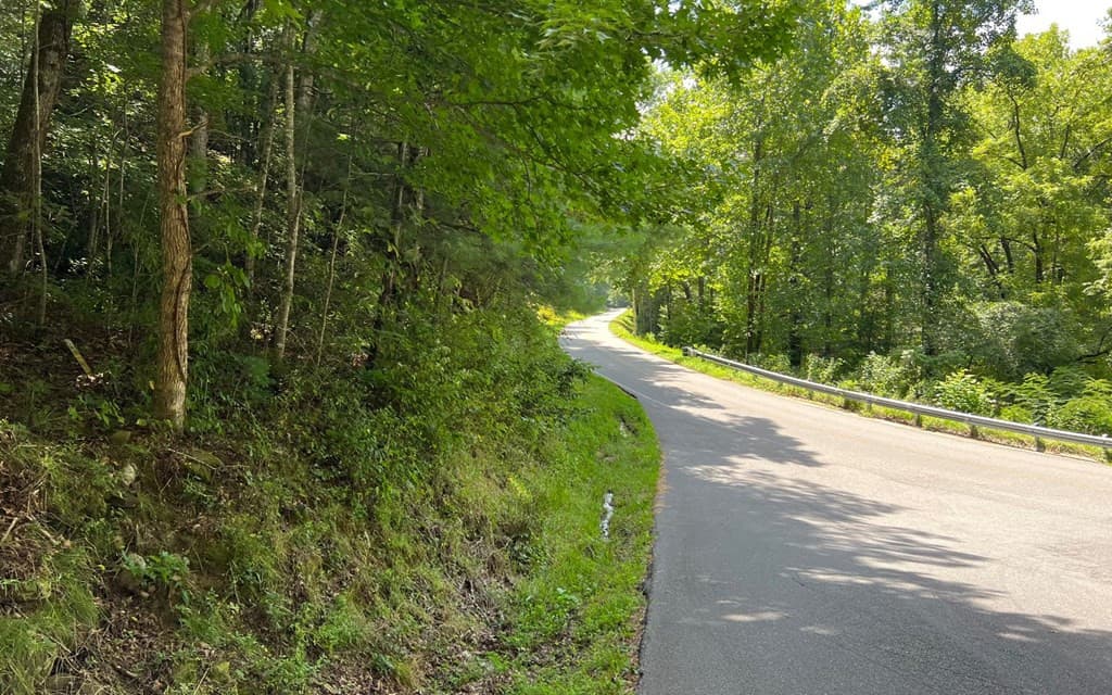 Land at Lot 77 77 Fires Creek Cove, Hayesville, NC 28904, Hayesville, photo 13 of 19