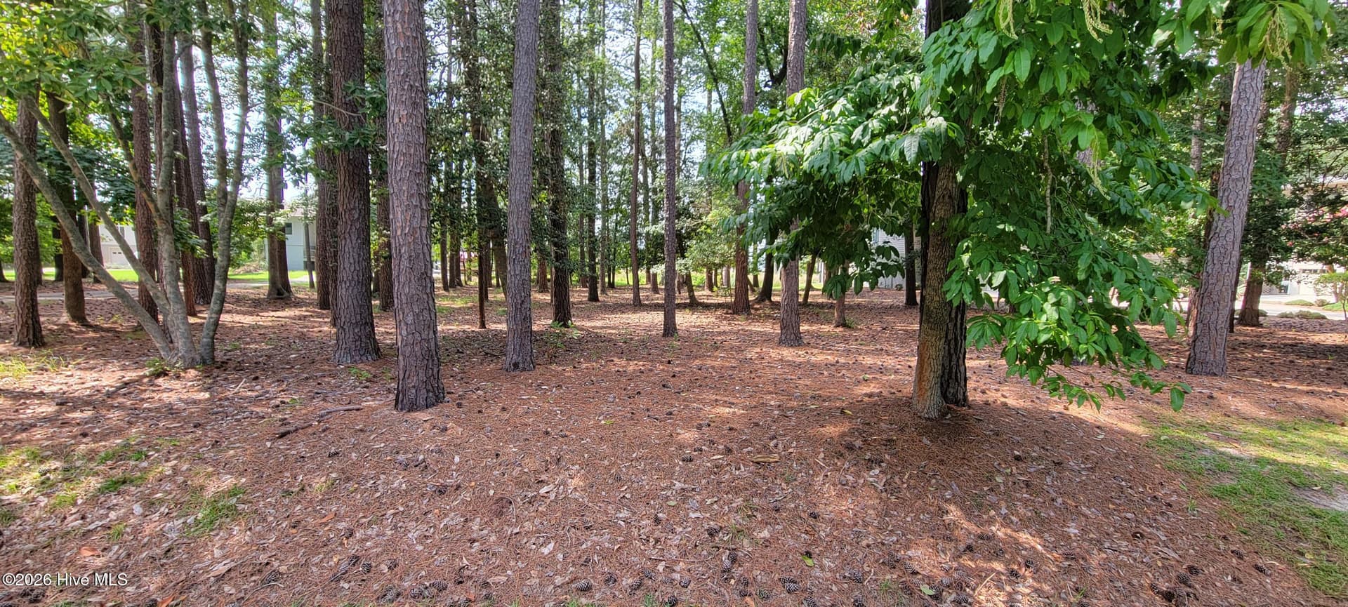 Single Family Residence at 110 Landon Drive, Washington, NC 27889, photo 119 of 165