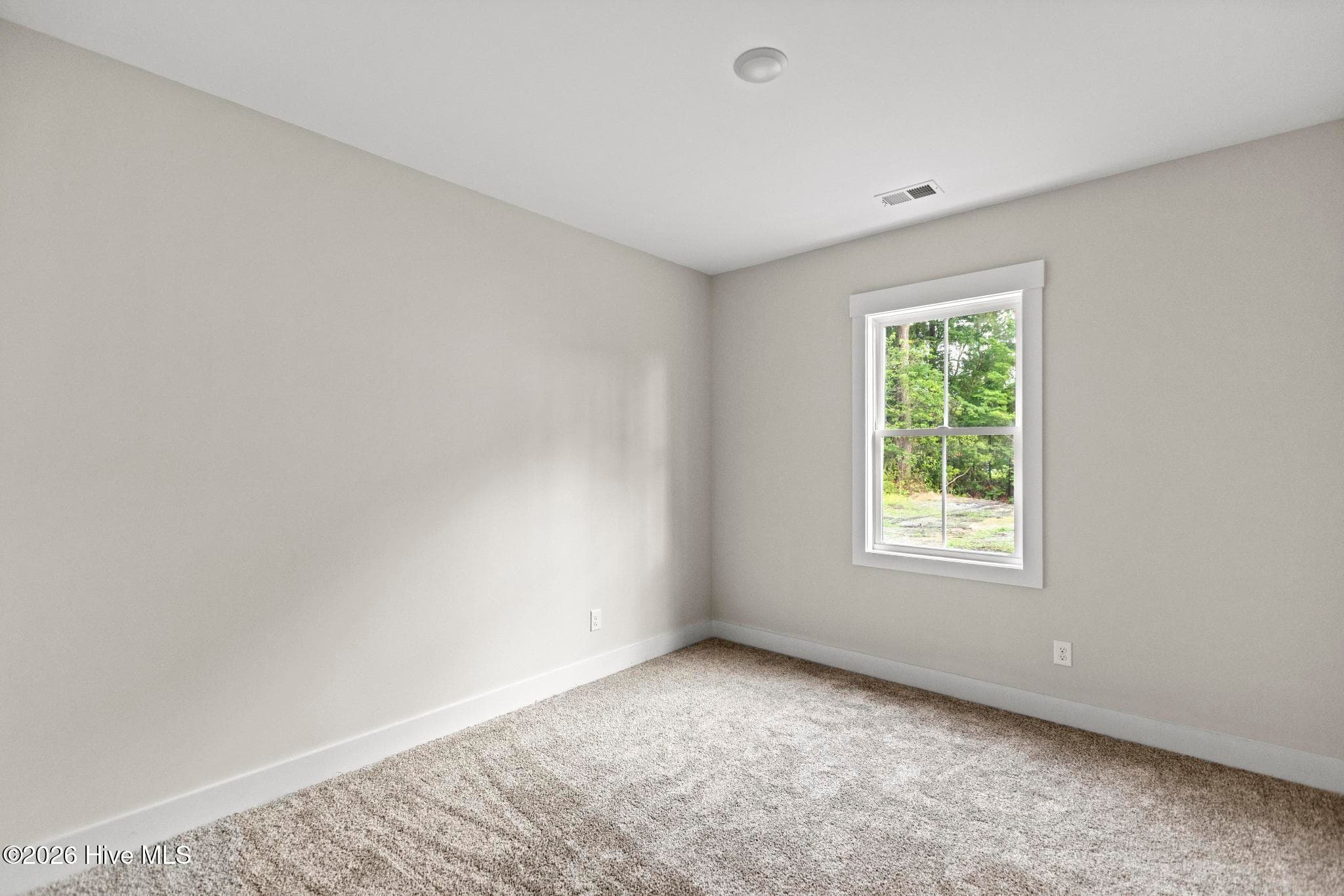 Single Family Residence at Lot 3 Peach Court, Burgaw, NC 28425, photo 38 of 50