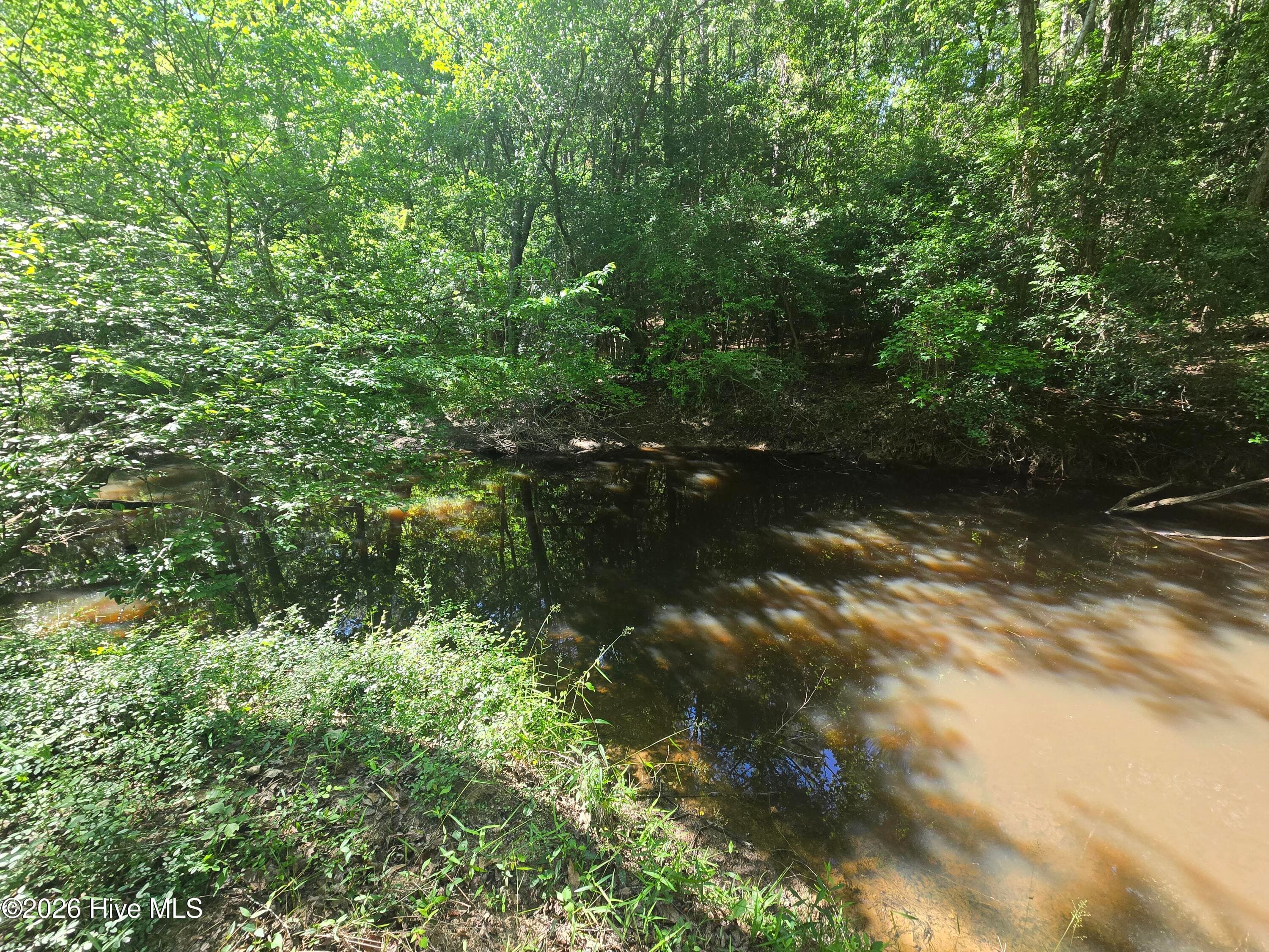 Wooded at 234 Circle Drive, Vass, NC 28394, photo 2 of 2
