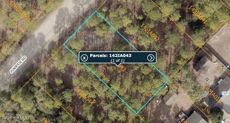 Lot 46 Juniper Road, Boiling Spring Lakes, NC 28461
