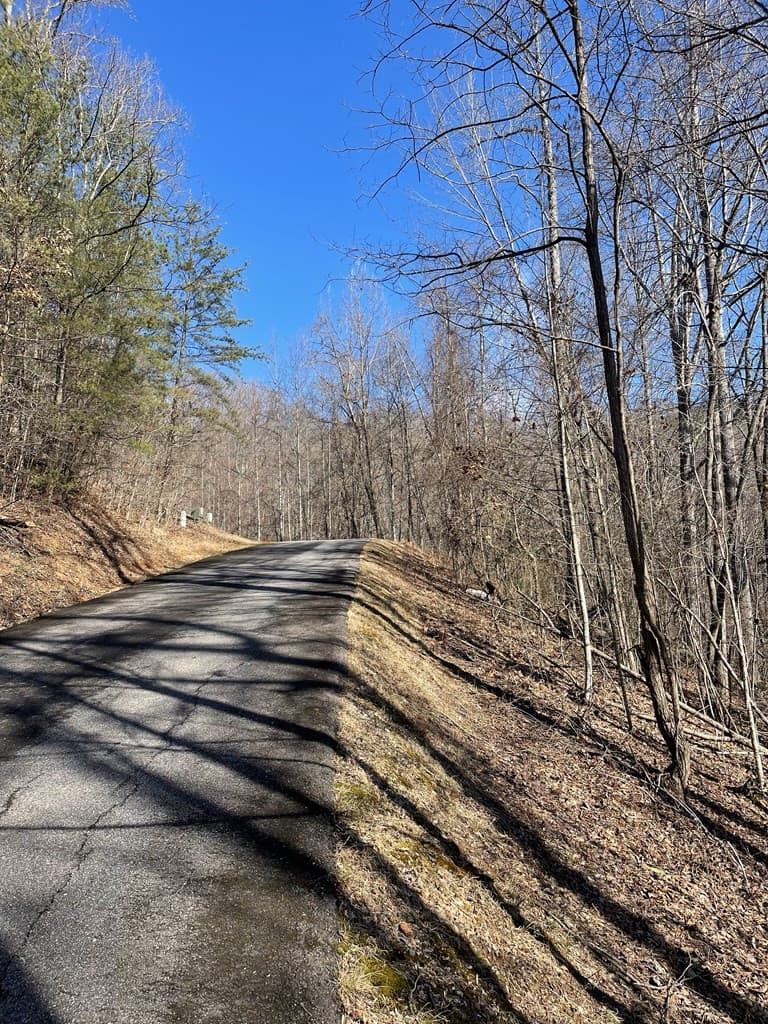 Residential Lot at Lot 37c 37C Ash Branch Circle, Hayesville, NC 28904, Hayesville, photo 6 of 6
