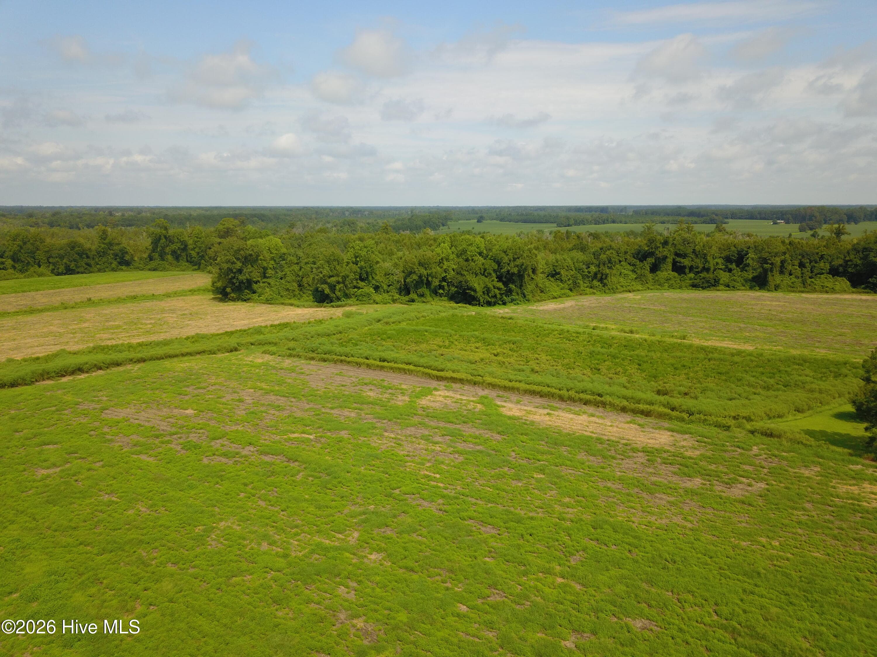 Farm at 2 S Nc 41 Highway, Wallace, NC 28466, photo 5 of 7
