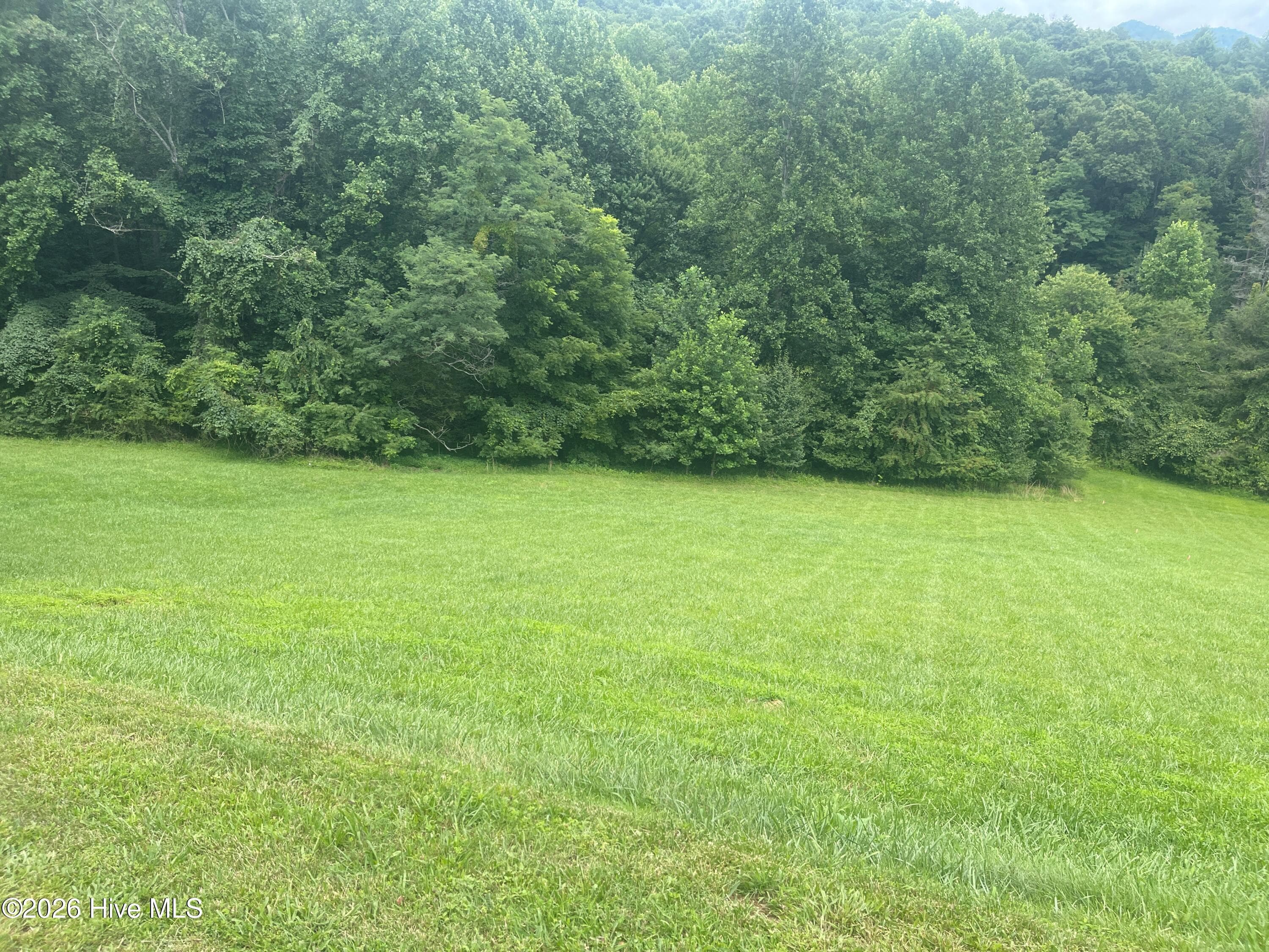 View from street - Lot 22c 22 Ash Branch Circle, Hayesville, NC 28904, Hayesville