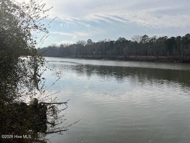 Looking south from site - 355.7 Horseshoe Road, Rockingham, NC 28379