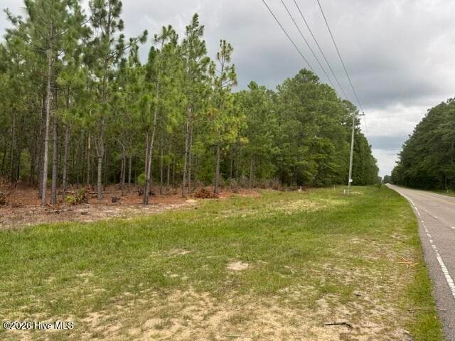 Undeveloped at 0 1 Nc Highway 210 Road, Currie, NC 28435, photo 10 of 10