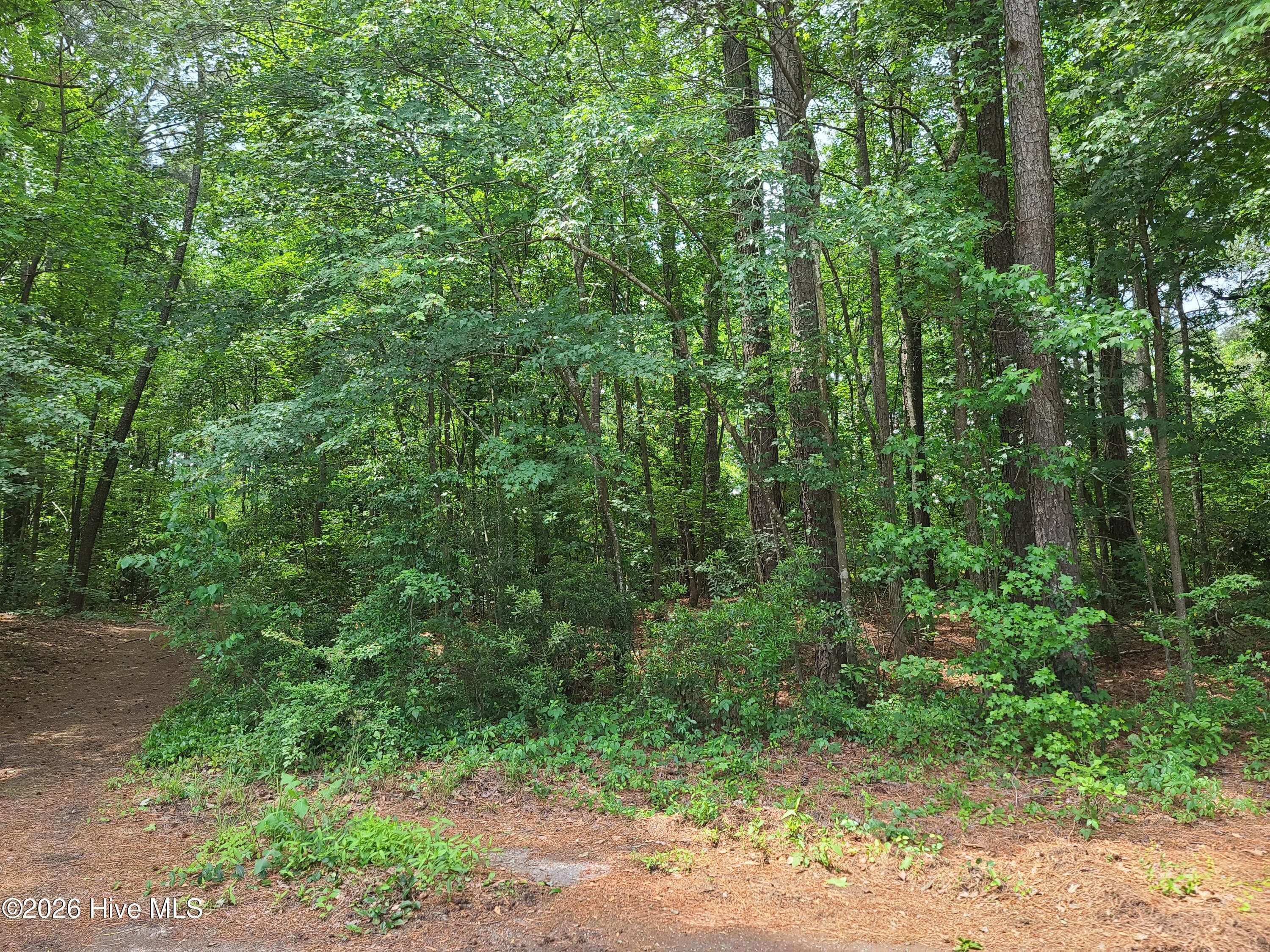 5662 7 Gail Drive, Ayden, NC 28513