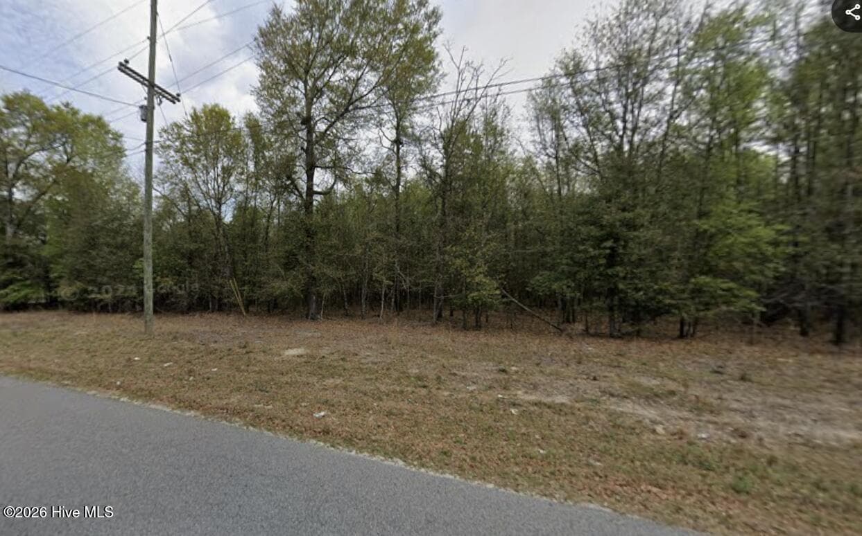 Residential Lot at Lt 10 Turning Leaf Ln, Barnwell, SC 29812, Barnwell, photo 2 of 3