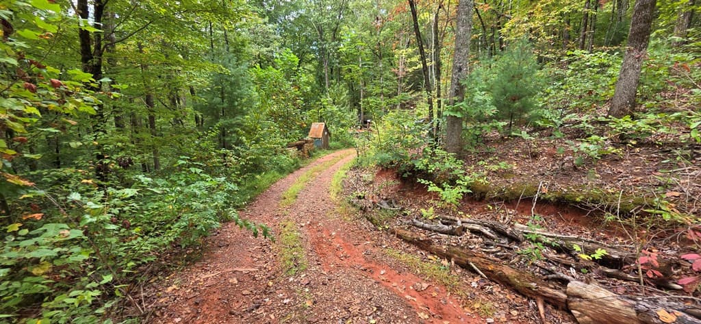 Wooded at 595 Horton Road, Murphy, NC 28906, photo 10 of 13