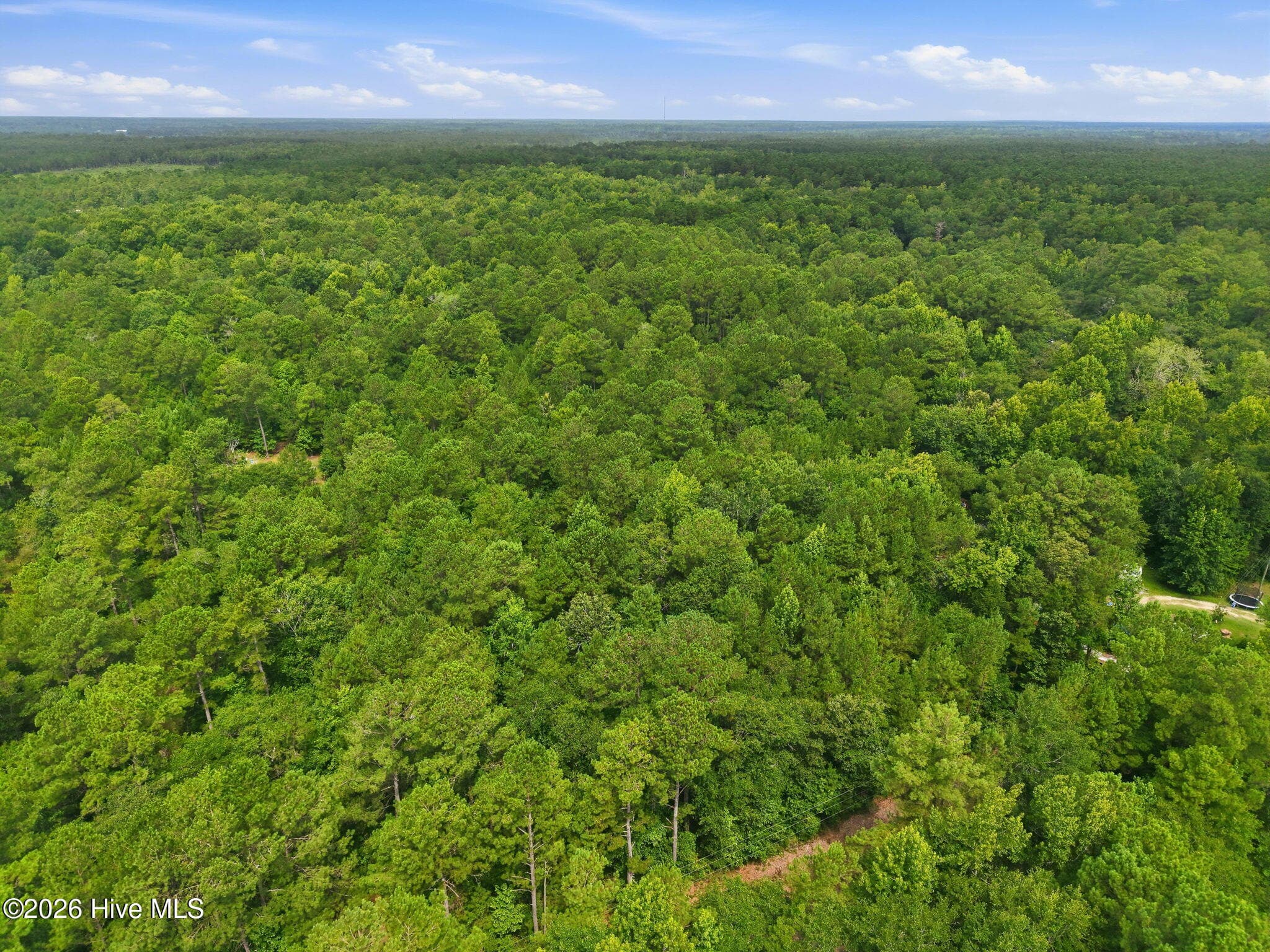 Undeveloped at 0 Copperhead Lane, Burgaw, NC 28425, photo 7 of 24