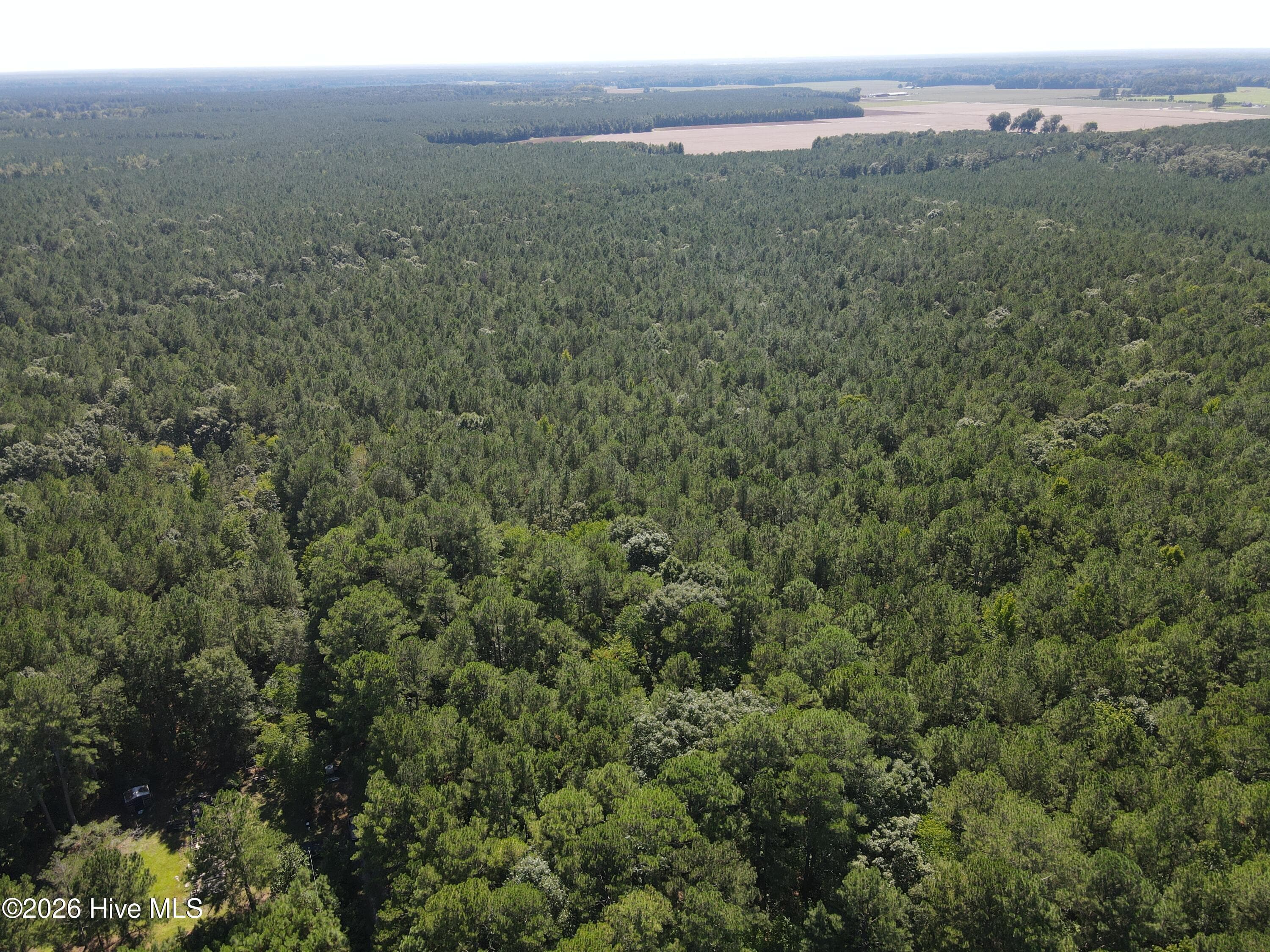 Wooded at Tbd Nc 305, Jackson, NC 27845, photo 3 of 9