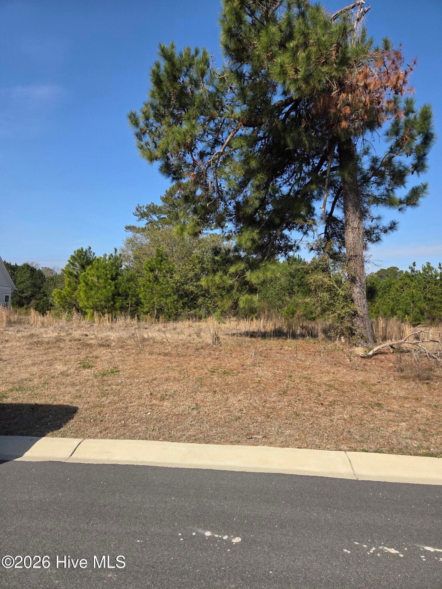 Residential Lot at 7439 67 Donegal Circle SW, Sunset Beach, NC 28468, photo 5 of 6