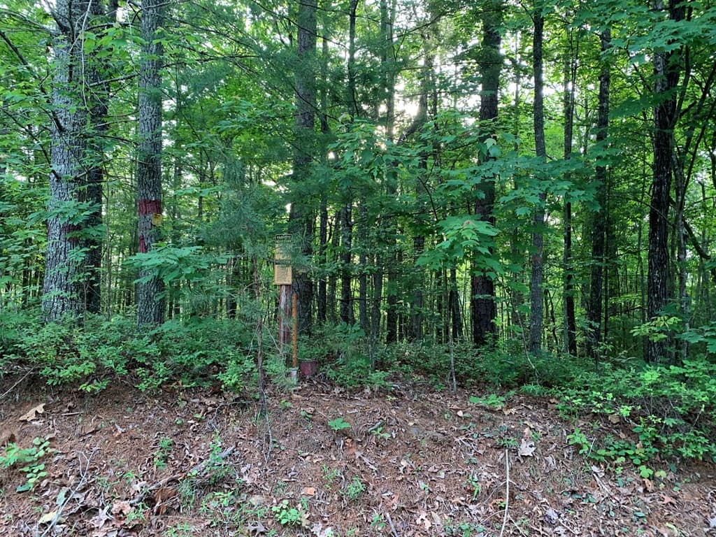 Land at Lot 43 Kestrel Ridge Circle, Murphy, NC 28906, photo 19 of 24