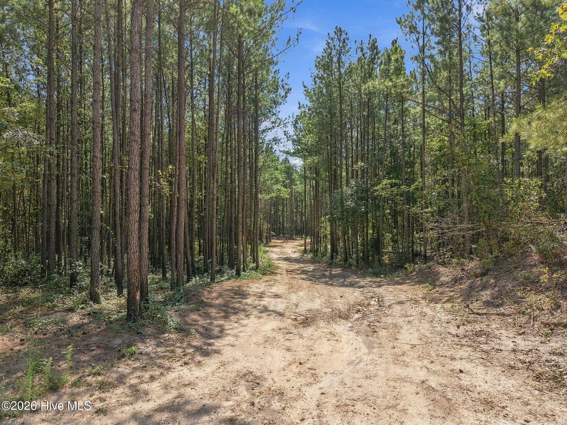 Undeveloped at 260 Full Bright Lane, Cameron, NC 28326, photo 13 of 15