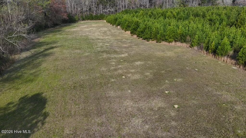 Undeveloped at Tr1 Smallwood Road, Hubert, NC 28539, photo 6 of 7