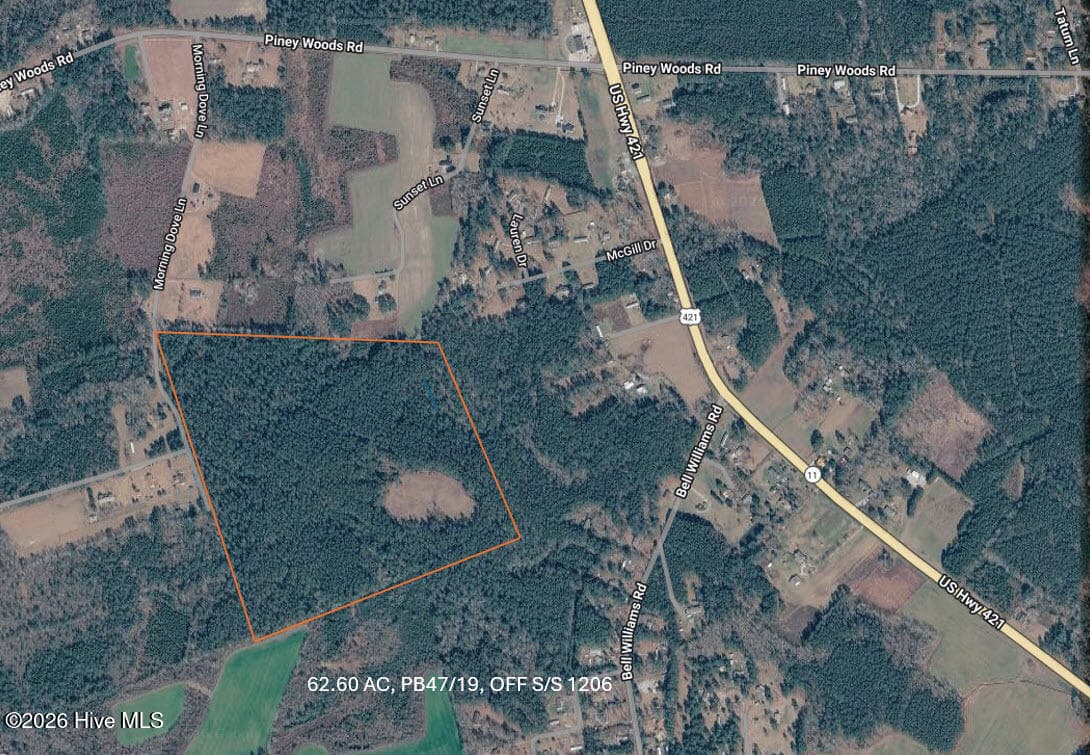 Wooded at 62.60 Morning Dove Ln, Watha, NC 28478