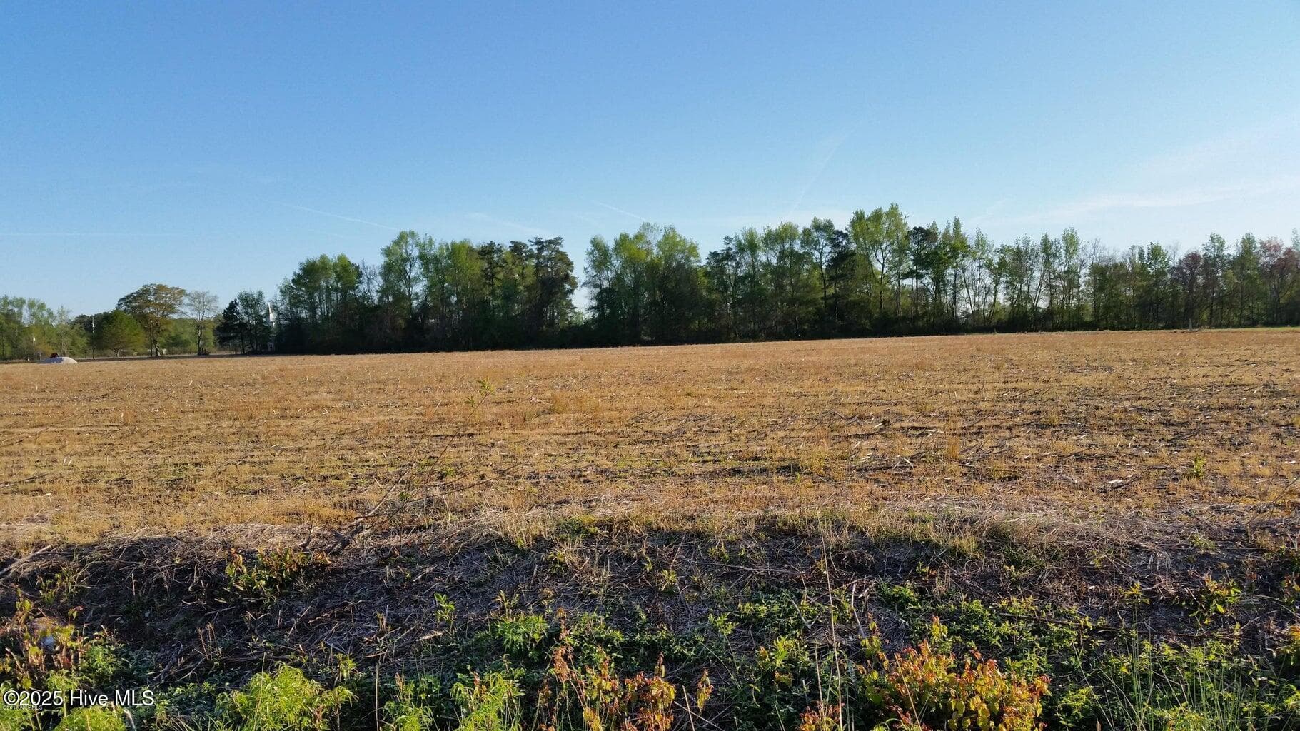 Undeveloped at 120 Old Main Road, Pembroke, NC 28372, photo 4 of 4