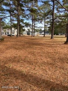 1012 Crosby Circle view from back of the lot looking toward the street. - 1012 Crosby Circle SW, Sunset Beach, NC 28468