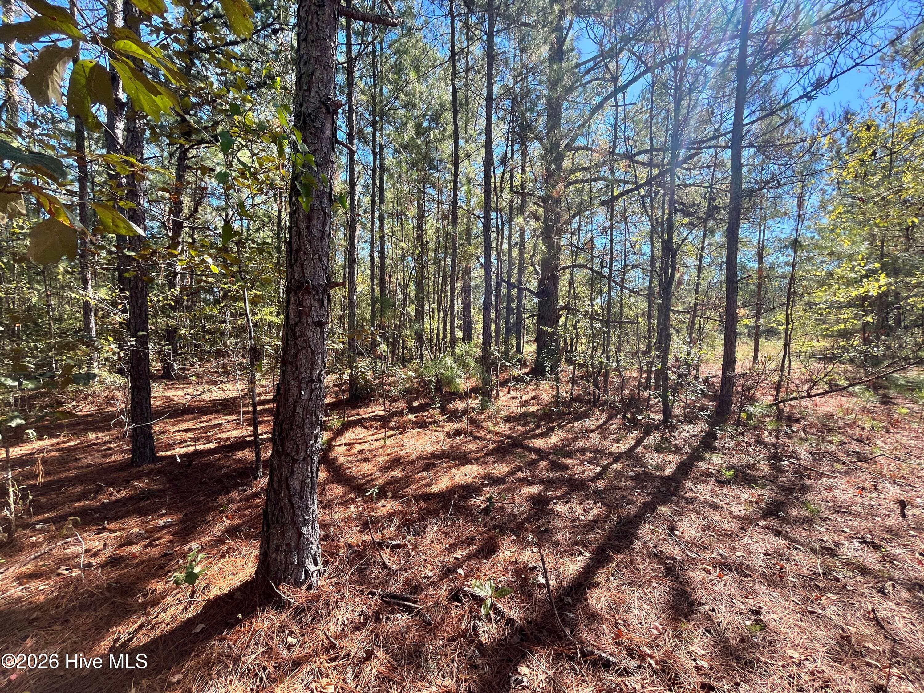 Residential Lot at Lot 9 Jasper Davis Road, Avera, GA 30803, photo 17 of 21