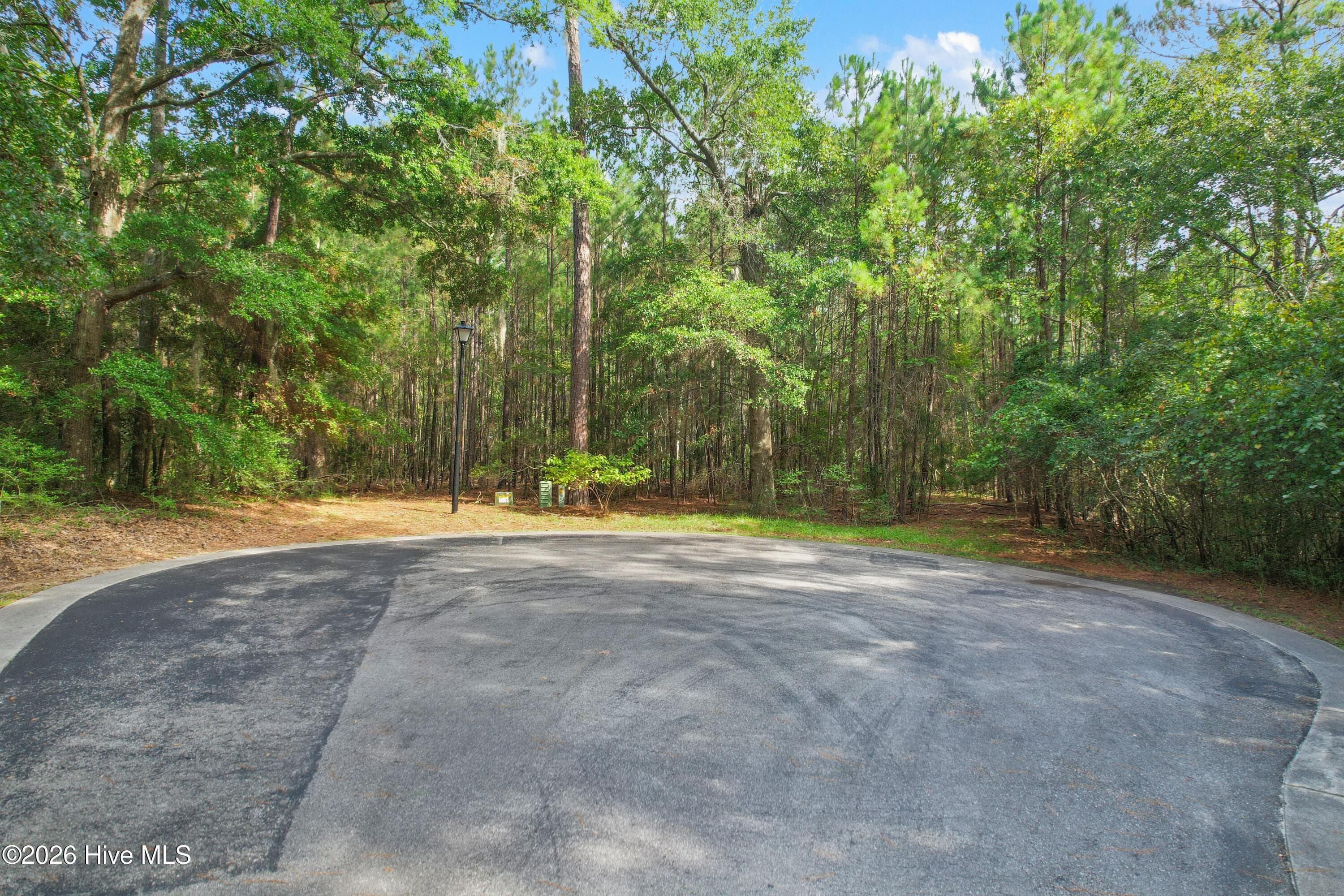 Residential Lot at 3570 15 & 16 Red Berry Court SW, Supply, NC 28462, photo 3 of 14