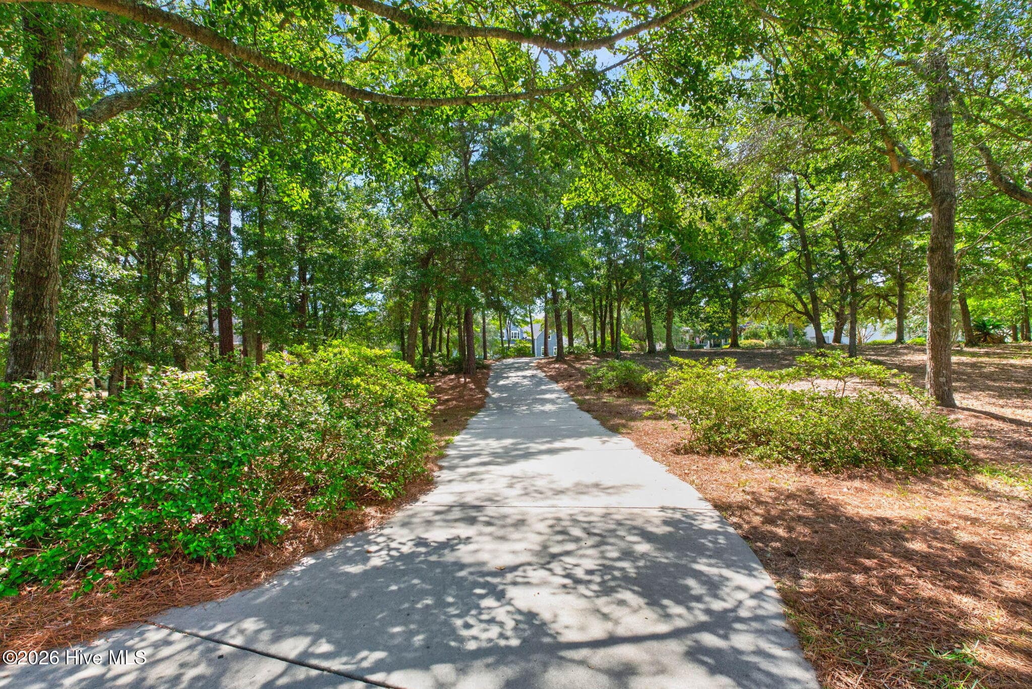 Long, private driveway - 5208 White Ibis Court, Southport, NC 28461, Southport