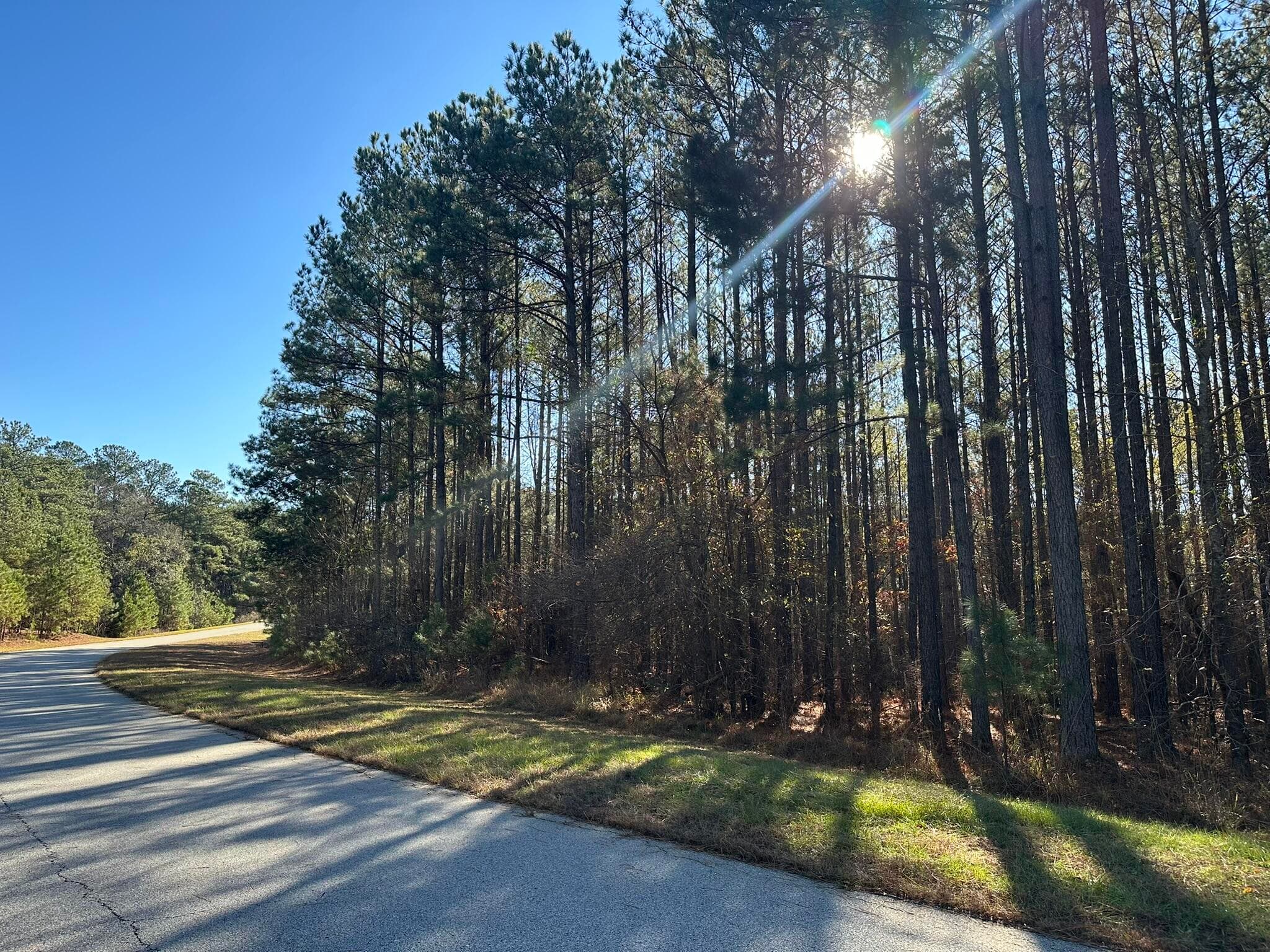 Residential Lot at 1252 294 Rogers Road, Tignall, GA 30668, photo 2 of 29