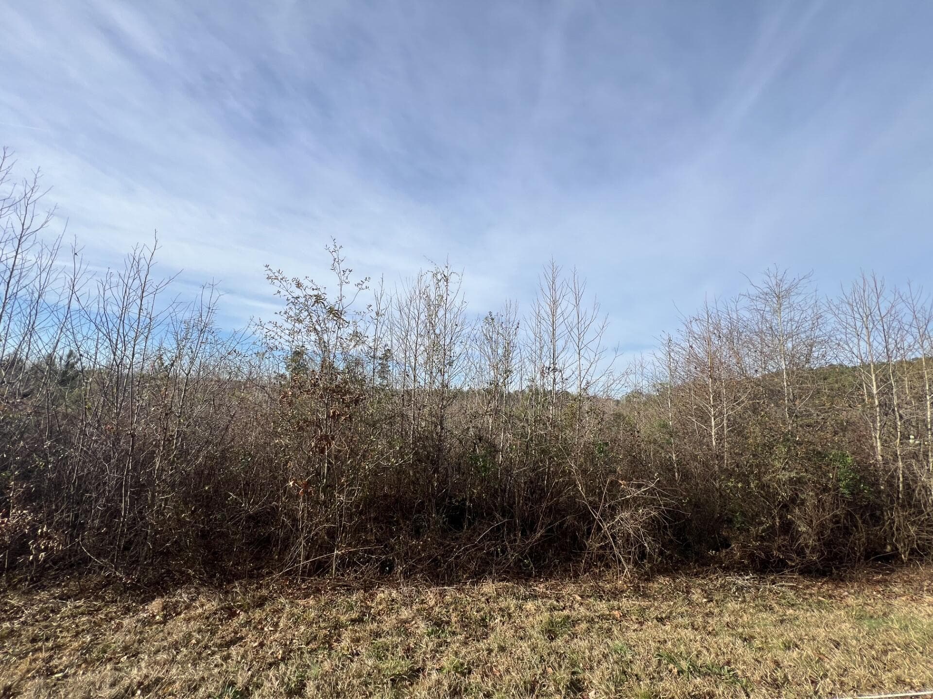 LOT2 Hephzibah Church Road, Lincolnton, GA 30817