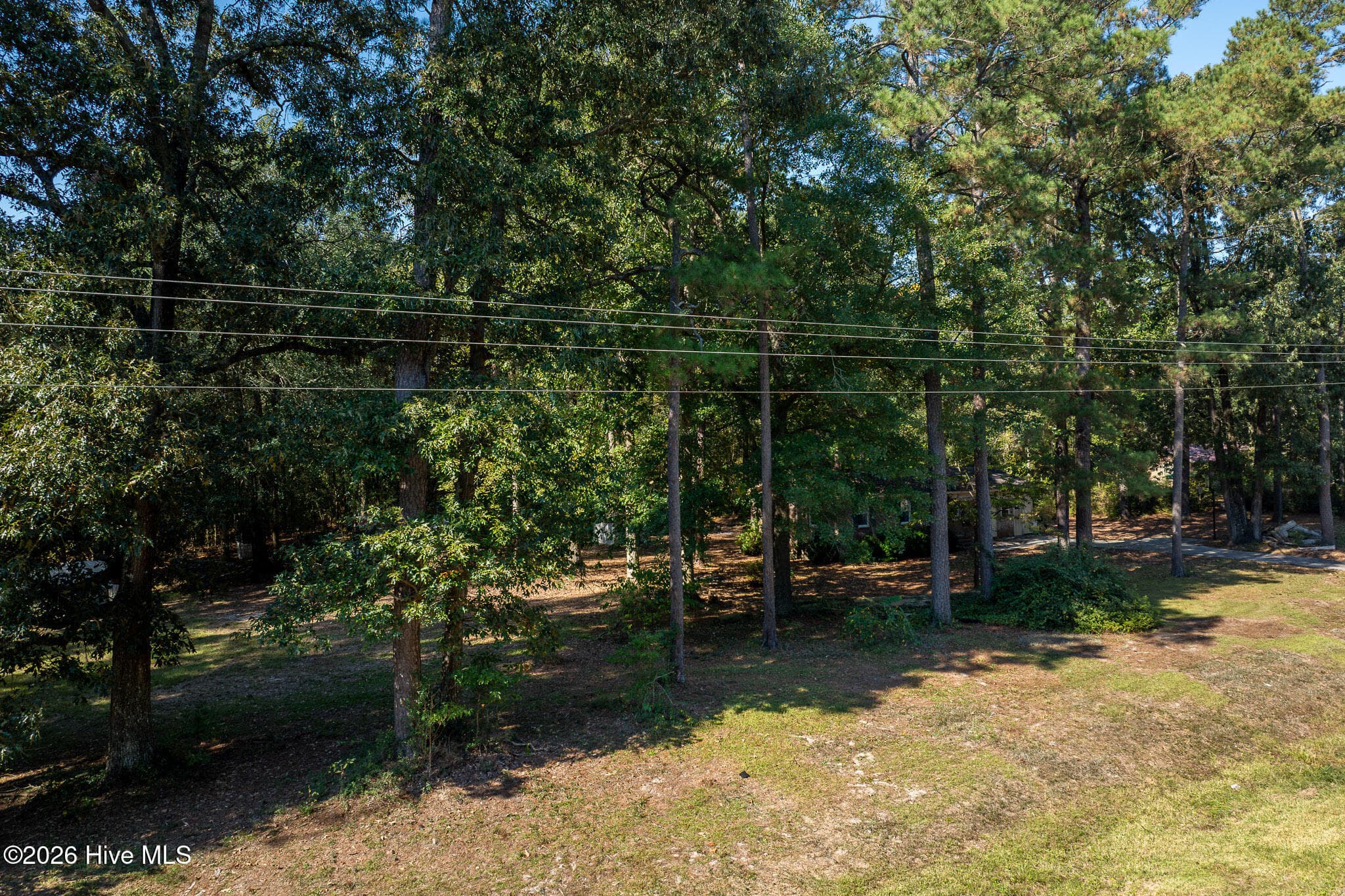 Single Family Residence at 245 Tracy Brown Road, Magnolia, NC 28453, photo 33 of 46