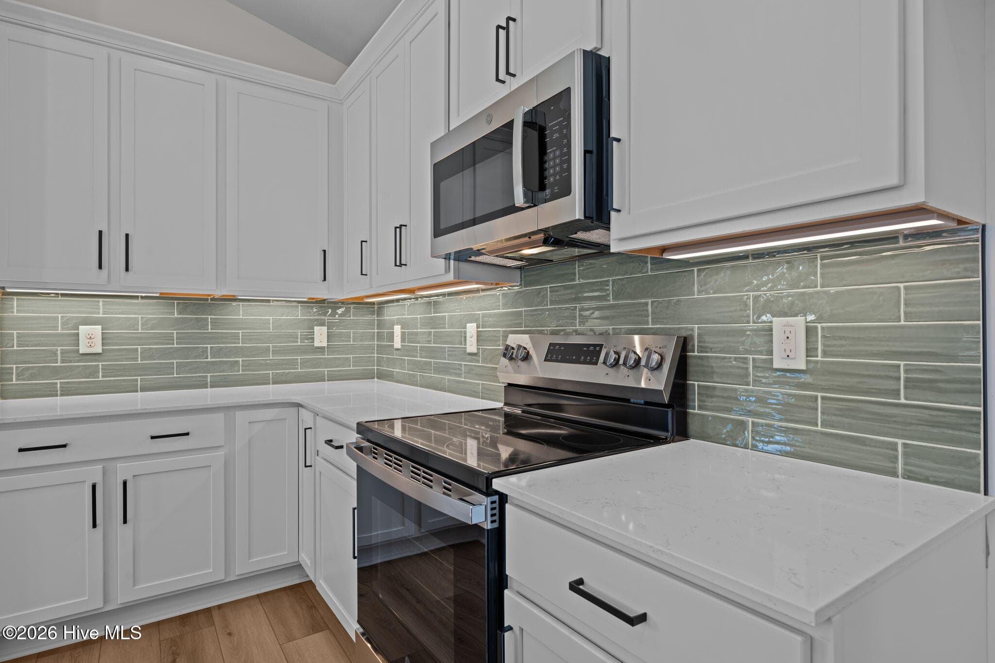 Undermount lighting and stainless appliances - 1216 Petite Terre Court, New Bern, NC 28560