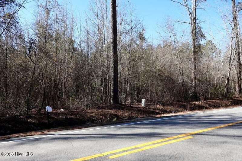 Wooded at Tbd 1 Nc Hwy 130 Road, Fairmont, NC 28340, photo 5 of 6