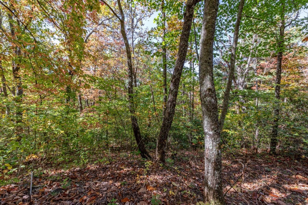 Undeveloped at Lot 38 38 Skyview At Wildlife Acres, Hayesville, NC 28904, Hayesville, photo 11 of 32