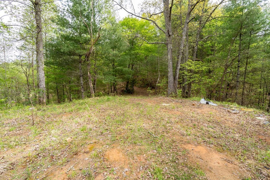 Wooded at 125 Milk And Honey Drive, Murphy, NC 28902, photo 11 of 23