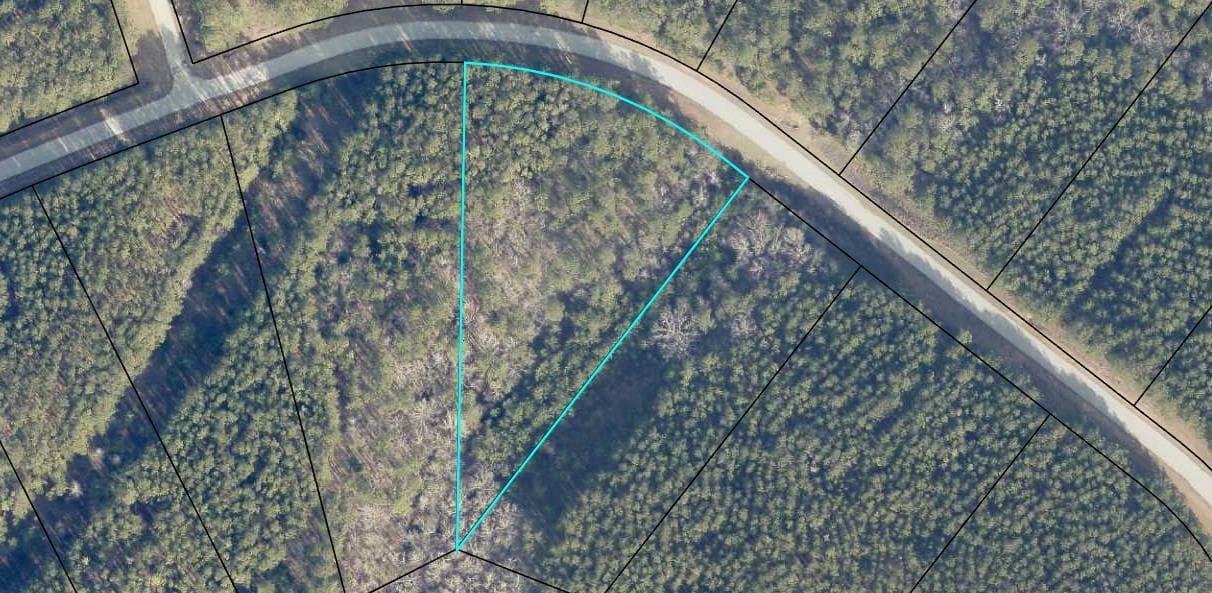 Residential Lot at 1252 294 Rogers Road, Tignall, GA 30668, photo 9 of 29
