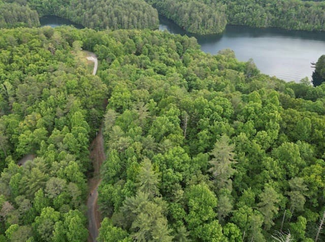 Residential Lot at Lot 13 13 Dogwood Trail, Robbinsville, NC 28771, photo 4 of 6