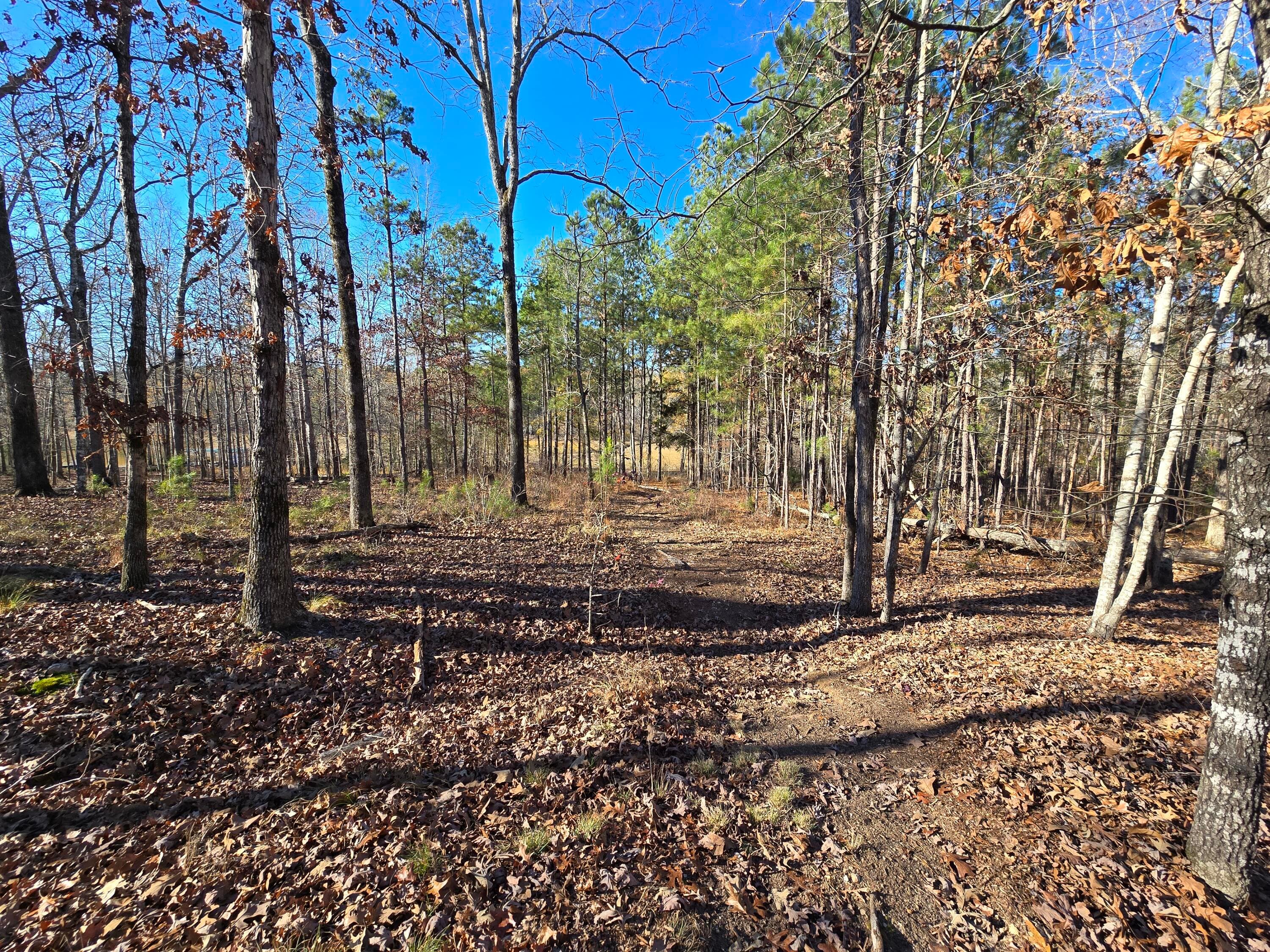 Residential Lot at 1102 Dogwood Drive, Lincolnton, GA 30817, photo 21 of 46