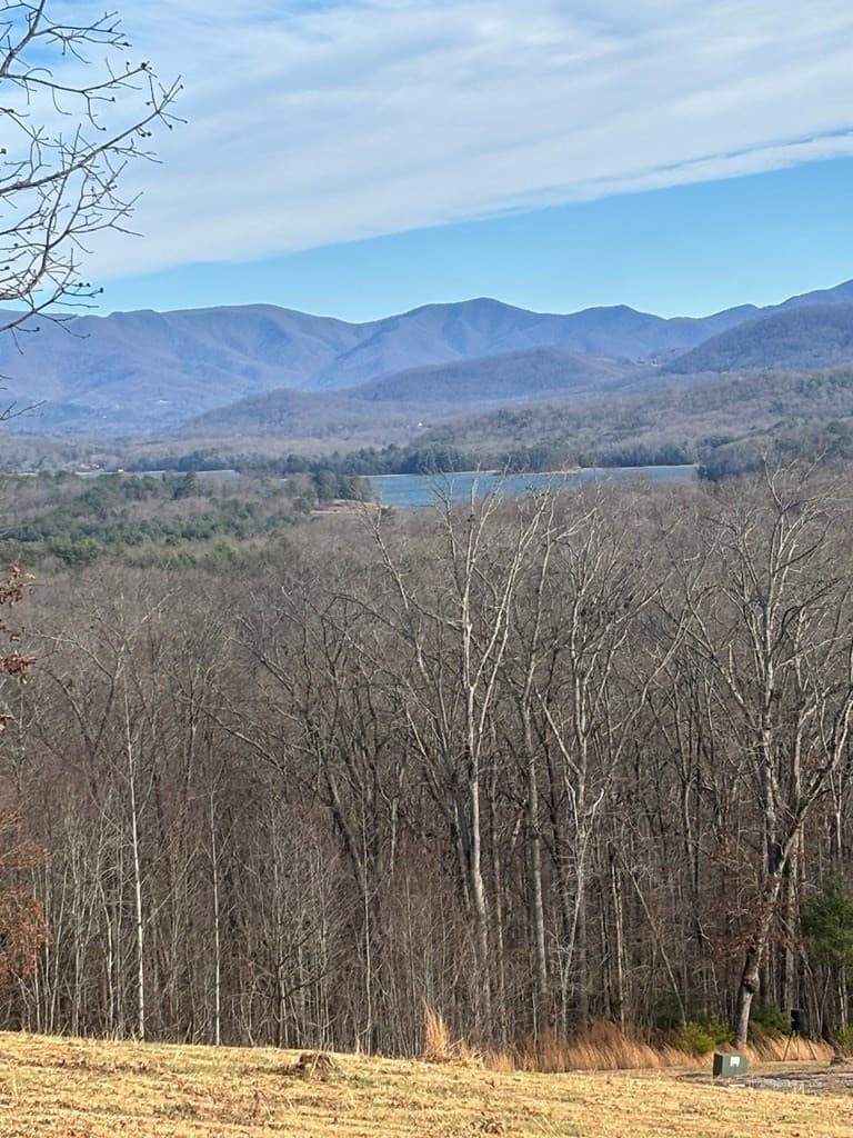 Residential Lot at Lot 24 24 Jack, Hayesville, NC 28904, Hayesville, photo 3 of 4